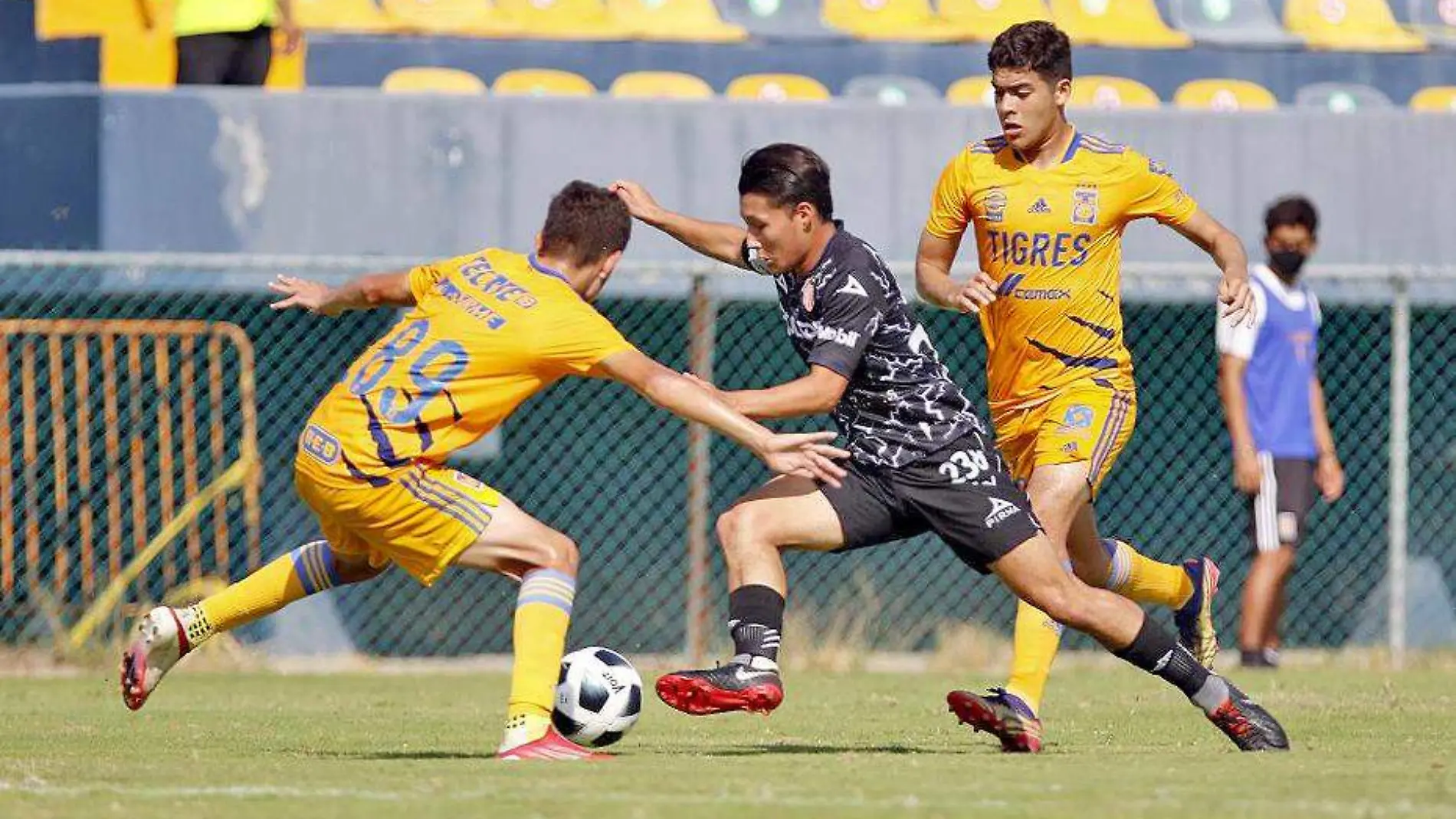 necaxa vs tigres fuerzas basicas